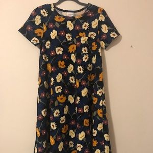 Lularoe Carly dress size xxs
